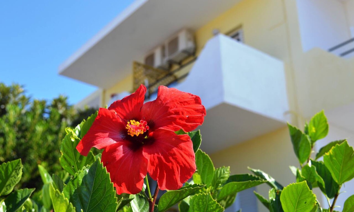 Mastichari Hotel | Yiannis Apartments