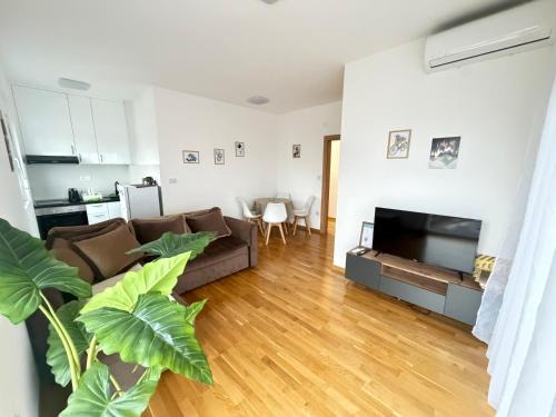 Bijela Apartment | Zenith Apartment - Herceg Novi & Beach & Private Parking
