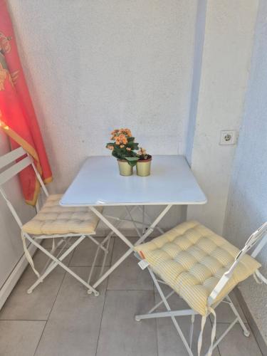 Kotor Apartment | Zlatna Boska