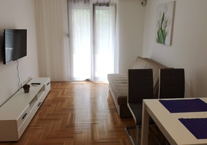 1-bedroom apartment witha park view "Podmaine 18"
