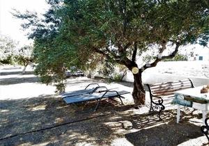36 m² Apartment ∙ 2 bedrooms ∙ 5 guests in Ferma