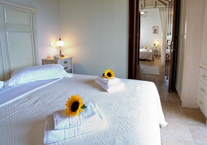 Luxurious villas with sea view villa Anemone