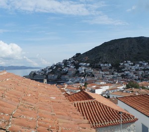 Hydra 