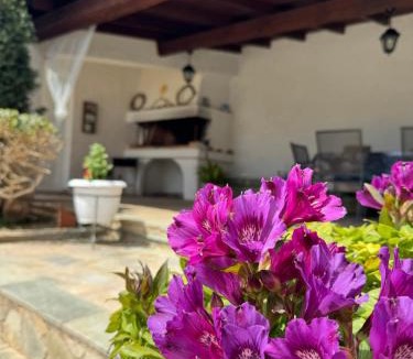 Anavyssos Apartment | Ο Ξενώνας της Σοφίας