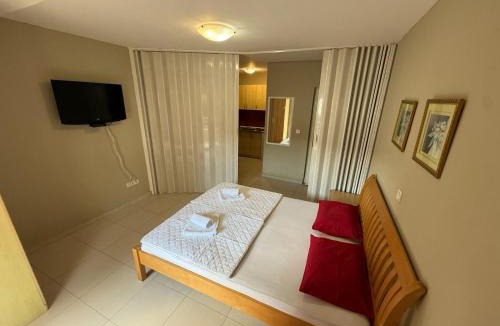 Babilonija Apartment | Adzic apartments 2