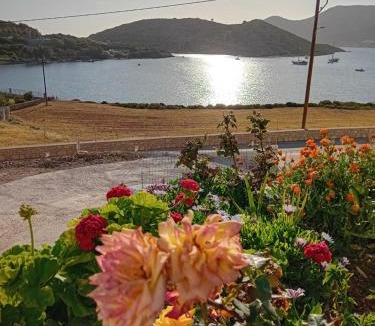 Lipsoi Apartment | Aggeliki's Apartments