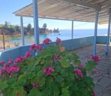 Chalkidiki Region Apartment | Agnanti Kotsikia