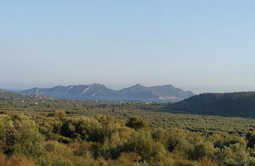 Pylos-Nestoras House | Agros