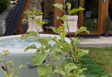 Cetinje House | Albero Casa