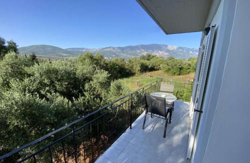 Spartia Apartment | Alexander apartments 4