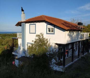 Kamiros Apartment | Alexandra Homestay