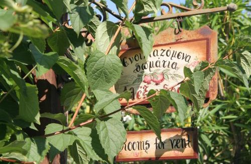 Stavros Hotel | Alexandros Rooms