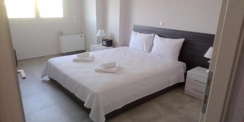 Apolpaina Apartment | Alivka Apartments