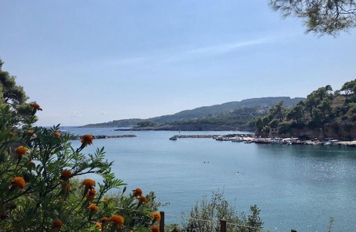 Votsi Villa | Alonissos 4-bedroom large villa with private pool