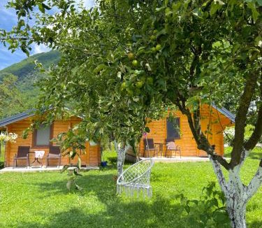 Vusanje Ski Chalet | Alpet