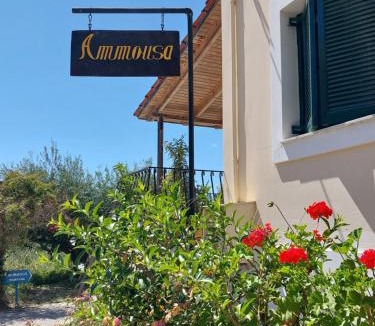 Lixouri Apartment | Ammousa Hotel Apartments