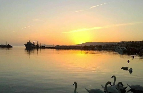 Nea Skioni Apartment | Anchors Aweigh 3-100 S.m Apartment Near The Sea