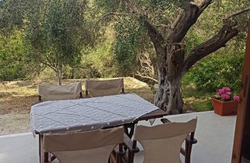 Agios Georgios Pagon Apartment | Andreas Apartments