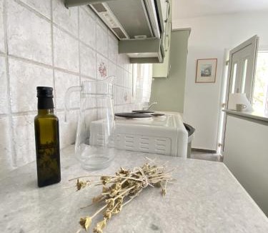 Andros Town Apartment | Andros Vineyard house with sea view