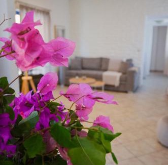 Kontos Apartment | Angie's Serenity Apartment