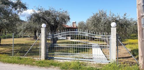 Megalos Prinos House | Annashousethassos