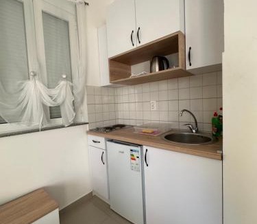 Trebesinj Apartment | ApartBrajovic67