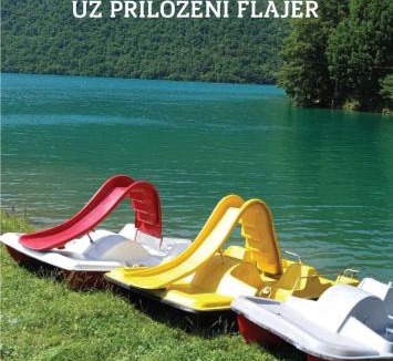 Pluzine Apartment | Apartman Ćalasan