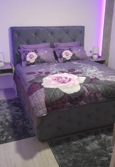 Bijeli do Apartment | Apartman Aleksa