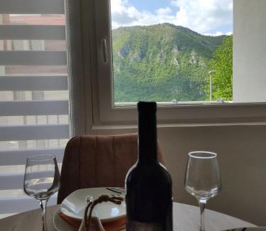 Pluzine Apartment | Apartman Andjela