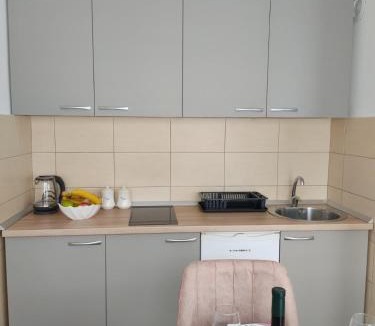 Pluzine Apartment | Apartman Andjela