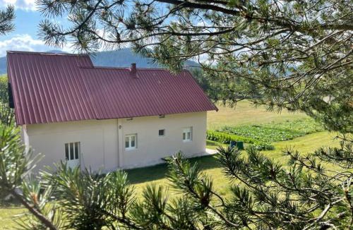 Njegovuđa Apartment | Apartman Bojovic