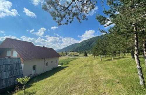 Njegovuđa Apartment | Apartman Bojovic