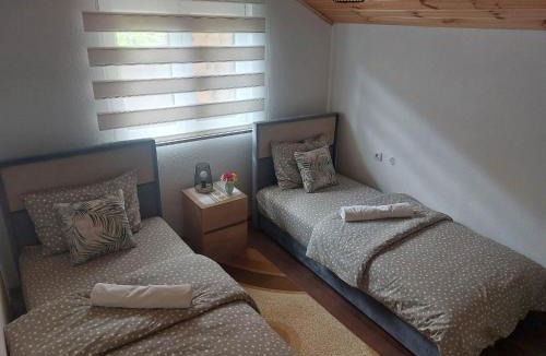 Drijenak Apartment | Apartman Branko