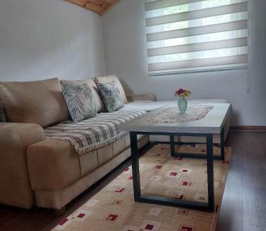 Drijenak Apartment | Apartman Branko