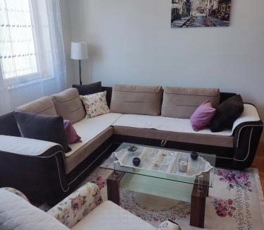Pluzine Apartment | Apartman DUNJA