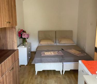 Dubovica Apartment | Apartman Grujicic 1