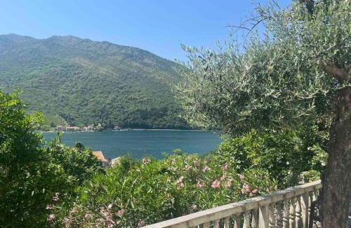 Lepetane Apartment | Apartman Irena