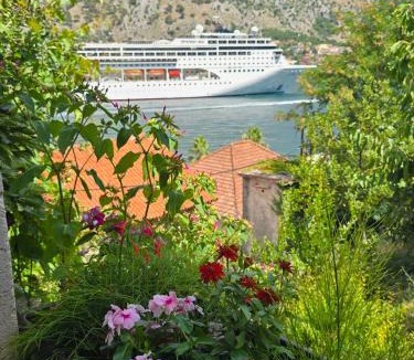 Muo Apartment | Apartman Jelena