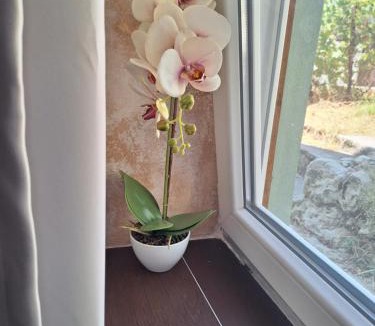 Grahovo Apartment | Apartman Krivošije