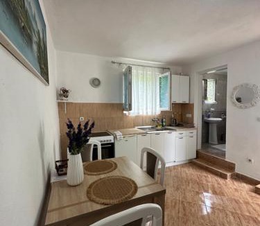 Risan Apartment | Apartman Nina
