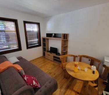 Pluzine Apartment | Apartman Perović