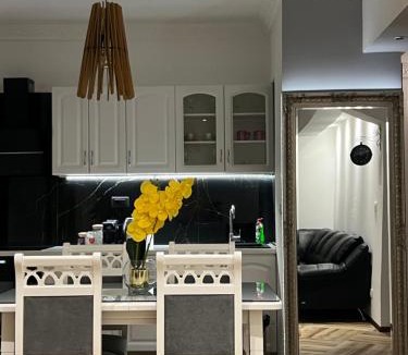 Niksic Apartment | Apartman Scepanovic