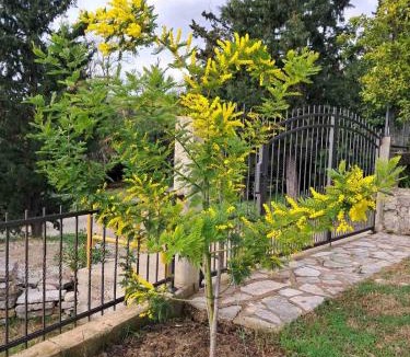 Ratisevina Apartment | Apartman Sofija HN