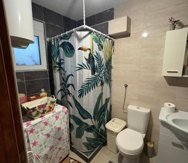Mrcevac House | Apartman Strahinja