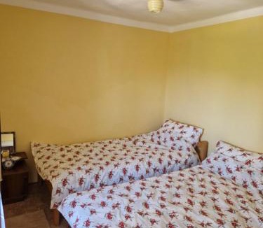 Grahovo Apartment | Apartman Vijalo