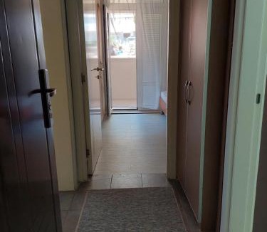 Gospostina Apartment | Apartman Vladimir