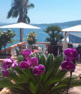 Bijela Apartment | Apartmani Kalinic
