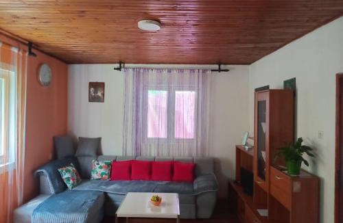 Pluzine Apartment | Apartmani Lazić