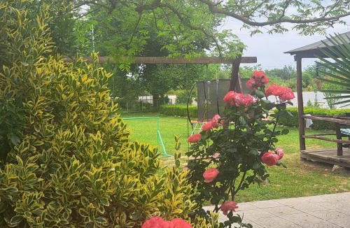 Ulcinj Cabin | Apartmani Moco