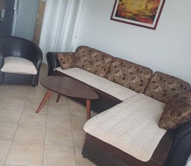 Seoca Apartment | Apartmani Vujovic Markovici
